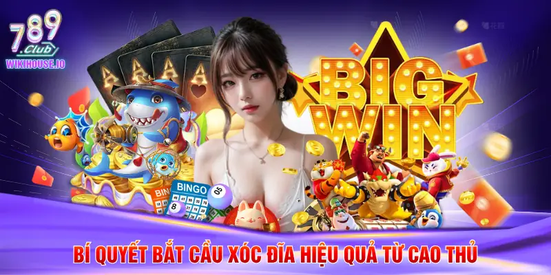 Hướng Dẫn Chơi Xóc Đĩa Cho Người Mới Chi Tiết Tại 789Club 4 Bí quyết bắt cầu xóc đĩa hiệu quả từ cao thủ