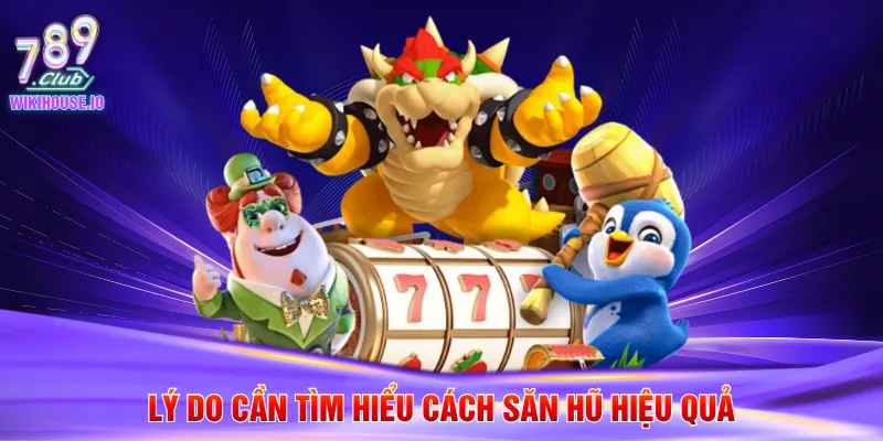 Lý do cần tìm hiểu cách săn hũ hiệu quả